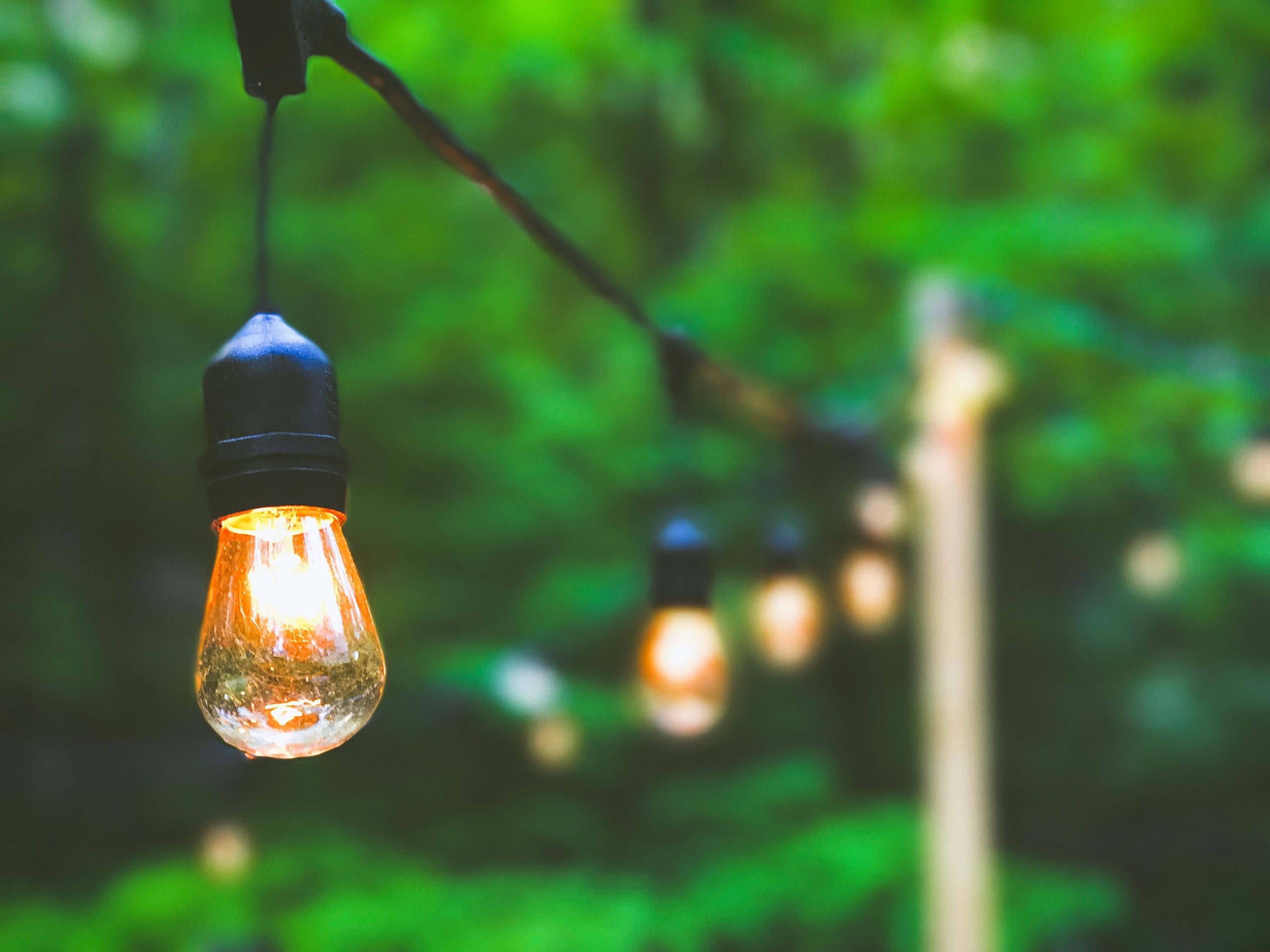 Backyard String of lights in summer